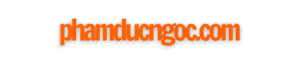Logo Phạm Đức Ngọc
